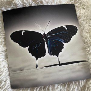 New! Writing Journal with Insect-Themed AI Cover and Interior Photos